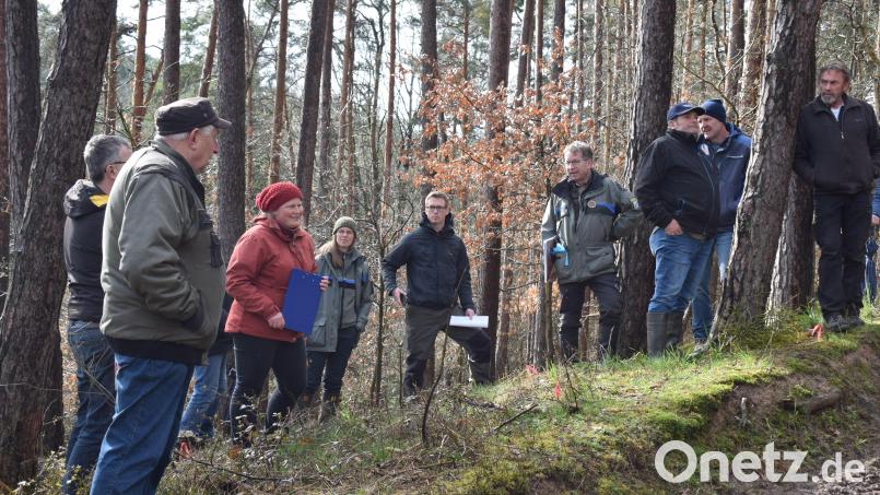 Die Kiefernschäden im Naabtal waren Gegenstand einer Sammelberatung der Waldbauern. Die Waldfachleute Yvonne Wolfrum, Regina Härtl, Alexander Glaser und Hubert Amode gaben Antworten und zeigten Lösungswege auf. Bild: bnr
