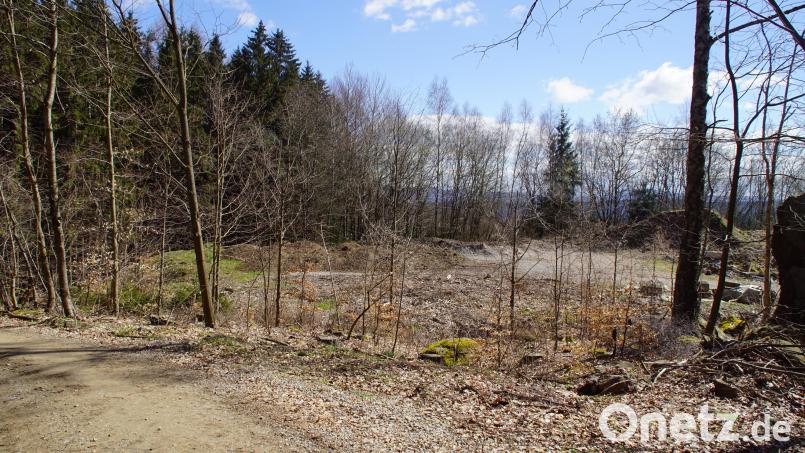 Geäst und Baumschnitt soll künftig nicht mehr in den Container kommen, sondern in der ehemaligen Sandgrube gelagert werden. Bild: mmj