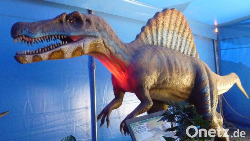 Eine Dinosaurierausstellung gastiert vom 7. bis 9. April in Weiden. Bild: J. Freiwald/exb