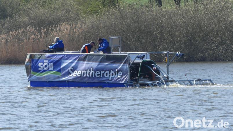 Im Mai soll der Rußweiher eine weitere &quot;Schlammlöser-Therapie&quot; erhalten. Bild: rn
