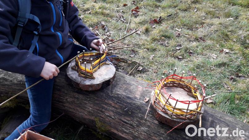 Ferienaktion des Kreisjugendrings und der Naturschutzgruppe Weiden-Neustadt des LBV. Bild: Martina Roder-Weiß/exb