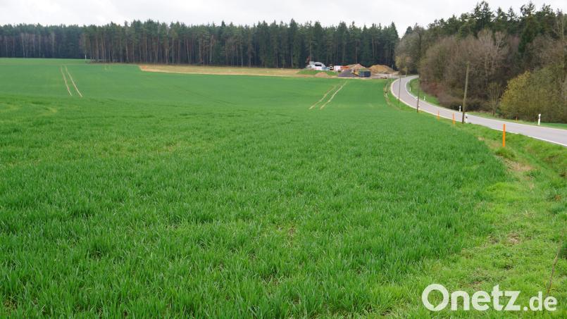Die Ackerfläche südlich der AS 22 vom Waldrand bis zum Ortsrand von Götzenöd soll ein Gewerbegebiet mit Lagerhallen, Ausstellungsgebäude, Grünfläche und Musterhäusern werden. Bild: tra