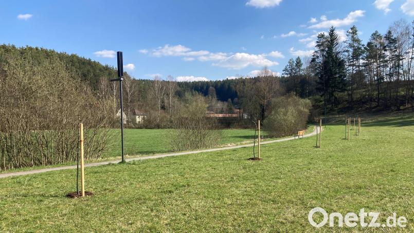 Streuobstwiesen wie diese, zwischen Hausen und Heimhof, leisten einen Beitrag zum Artenschutz: Deshalb hilft Ursensollen jetzt alle Bürgern, die einen Obstbaum pflanzen wollen. Bild: srö