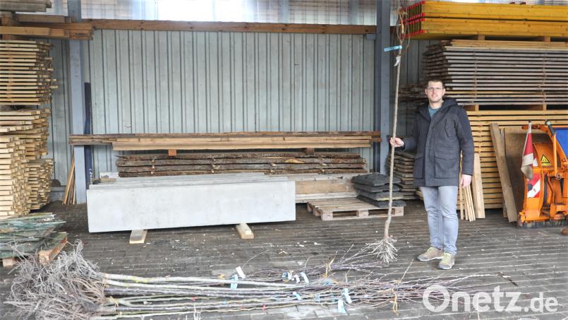 Im städtischen Bauhof übergab Bauamtsleiter Sebastian Kraus die hochstämmigen Obstbäume an die ersten Besteller. Bild: njn