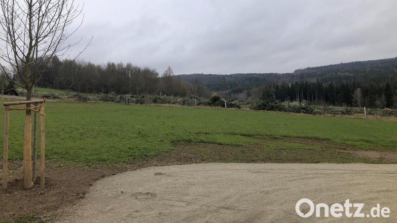 Auf dieser Grünfläche (hinterhalb des neuen Wendehammers am Friedhof) soll eine Blühfläche entstehen. Dafür gibt es Geld vom Freistaat oder vom Naturpark Steinwald. Die jeweiligen Fördermöglichkeiten werden in der Verwaltung derzeit beleuchtet. Bild: wro