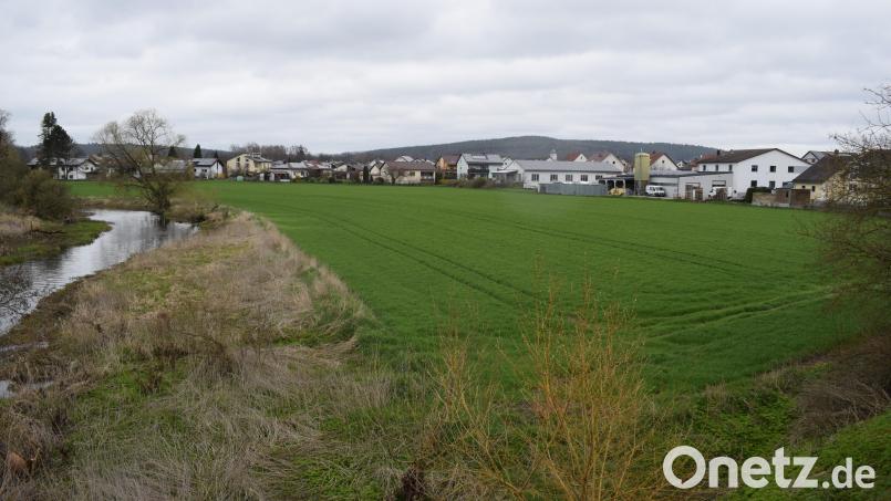 Hochwasserschutz ist auch in Pfreimd ein aktuelles Thema. Oft kann dieser durch Deiche und Geländemodellierungen erzielt werden. Bild: bnr