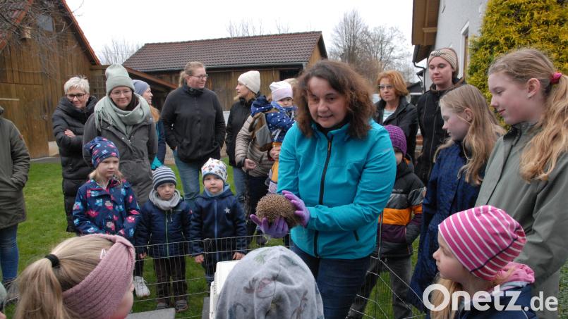Igelexpertin Elke Fleischmann erklärt den Kindern, wie man einen Igel auswildert. Bild: pop