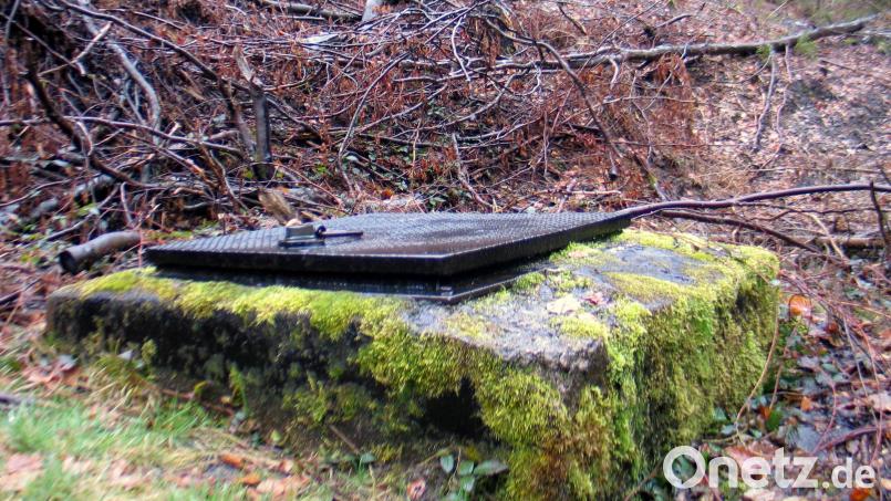 An der Grenze vom Buch- zum Steinrangen in der Flötz liegt die Quelle Ahornberg. Wasser bester Qualität ohne Nitrat und Spritzmittel aus der Landwirtschaft liefert sie. Erste Maßnahmen für die Sanierung sind getroffen. Zumindest der Baumbestand rund um die Fläche rund um den Brunnen wurde bereits gerodet. Bild: bkr