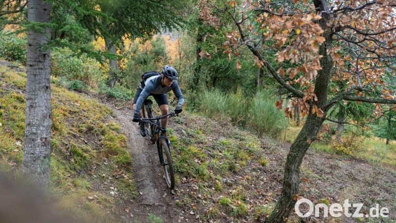 Mountainbikes sind nach wie vor extrem gefragt. Viele Sportler greifen zu E-Bikes. Bild: Cube/exb