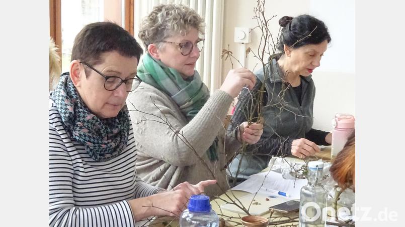 Mit ihren lebenswichtigen, zellregenerierenden und vitalisierenden Wirkstoffen werden Knospen als Phytopharmaka und Vitalnahrung eingesetzt, wie die Teilnehmerinnen des Workshops über Knospentherapie im Kräutergarten erfuhren. Bild: ads