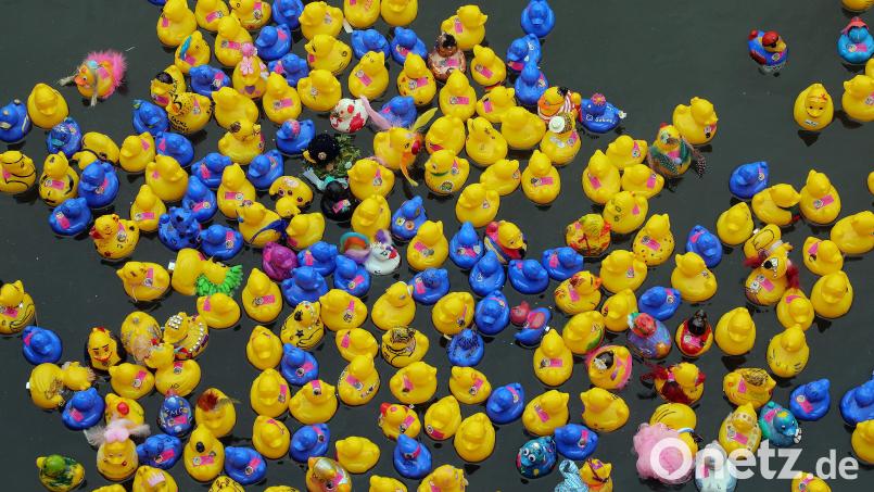 Am Sonntag, 23. April, schwimmen wieder viele bunte Plastiktierchen in der Vils. Archivbild: Wolfgang Steinbacher