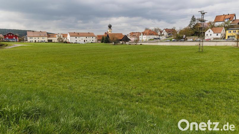 Die Schöner-Wiese grenzt beinahe direkt an den Wernberger Marktplatz an. Ein Wettbewerb für Städteplaner läuft, dessen Ergebnisse für die künftige Gestaltung werden im Juni vorgestellt. Bild: Hösamer