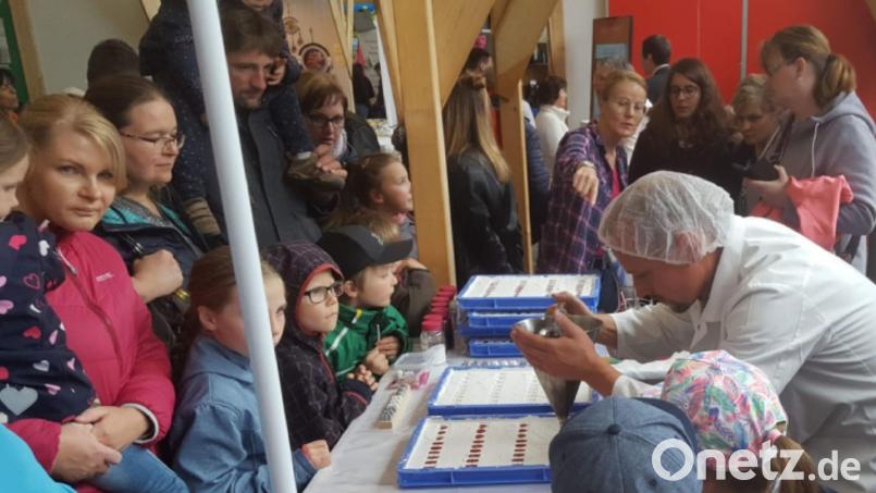 Über 100 Aussteller kommen zur Schwarzachtalmesse und lassen sich gerne über die Schulter schauen. Bild: Verein Schwarzachtalmesse e.V./exb