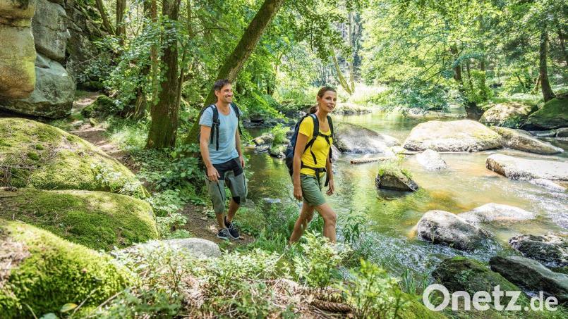 Auch eine Wandertour durch das Waldnaabtal darf nicht fehlen. Bild: Thomas Kujat/Oberpfälzer Wald/exb