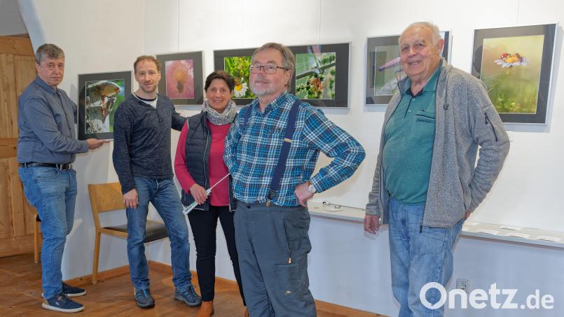 Reinhold Schulz, Thomas Enslein, Regina Pschirrer, Herbert Hannauer und Alois Hubmann (von links) arbeiten an der Fotoausstellung, die am Freitag, 21. April, eröffnet wird. Bild: Thomas Enslein/exb