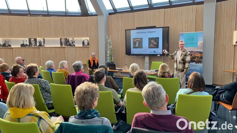 Julian Hunzinger und Thomas Wittleben präsentierten Spannendes aus der Welt der Vitalpilze. Bild: Tobias Reitmeier/exb