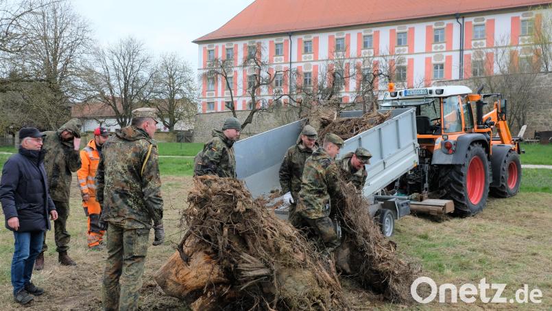Angeliefert vom Gemeindebauhof und beobachtet von Bürgermeister Albert Nickl baute die 2. Batterie des Artilleriebataillons 131 aus Weiden unter anderem auf der künftigen Blühwiese vor der Klosterkulisse Wurzelstöcke ein Bild: do