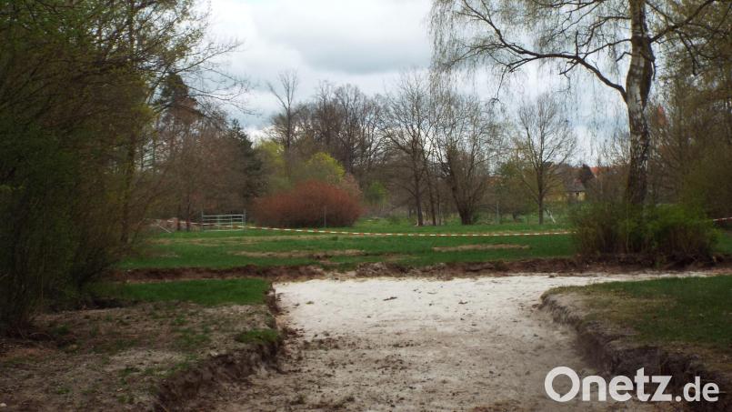 Auf einem Grundstück im Schnaittenbacher Bürgerwald soll ein Mehrgenerationenspielplatz entstehen. Bild: e