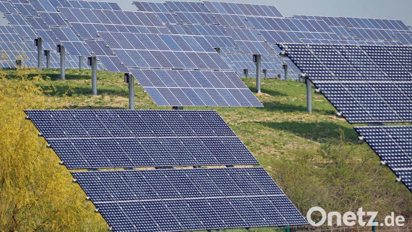 Bei Etzenricht sollte eine Freiflächenphotovoltaikanlage entstehen. Der Gemeinderat hat diesem Vorhaben vorerst eine Absage erteilt. Symbolbild: Jan Woitas/dpa