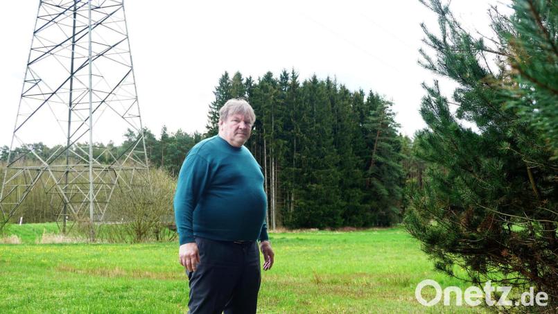 Der neue Ostbayernring sorgt für Ärger: Georg Schlögl steht auf seinem Grundstück bei Luhe (Landkreis Neustadt/WN) zwischen einem Masten der alten Stromtrasse und seinem Wald, der für die neue Leitung zum Teil gerodet werden soll. Der Wernberger will für seinen Wald kämpfen. Bild: jut