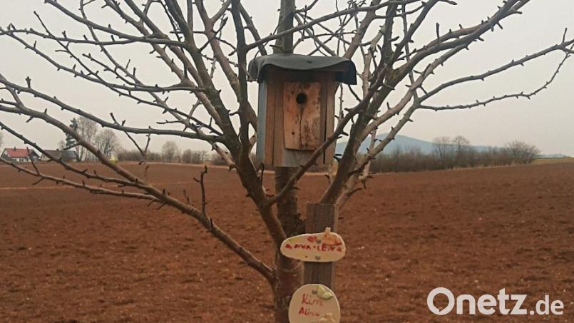Wenn in Brand ein Kind geboren wird, kann ein Baum gepflanzt und mit einem Schild mit Namen und Geburtsdatum versehen werden. Der Platz auf der sogenannten Geburtenwiese, wo etwa 70 Bäume stehen, ist jedoch knapp. Mittlerweile wurden auch schon Bäume entlang der Straßenränder der Jahnstraße gepflanzt. Streuobst-Bäume gibt es derzeit für Privatpersonen im Rahmen des Förderprogramms &quot;Streuobst für alle&quot;. Der Gemeinderat befasste sich in der vergangenen Sitzung damit. Bild: ld
