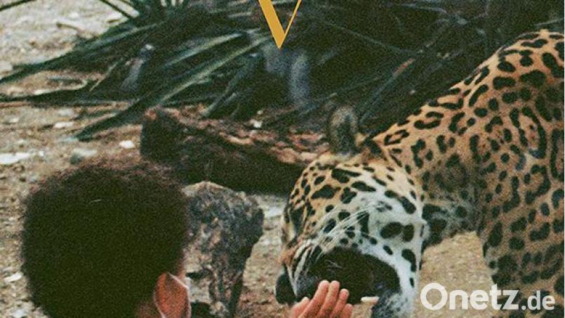 Unknown Mortal Orchestra – V (Cargo) Bild: Cargo