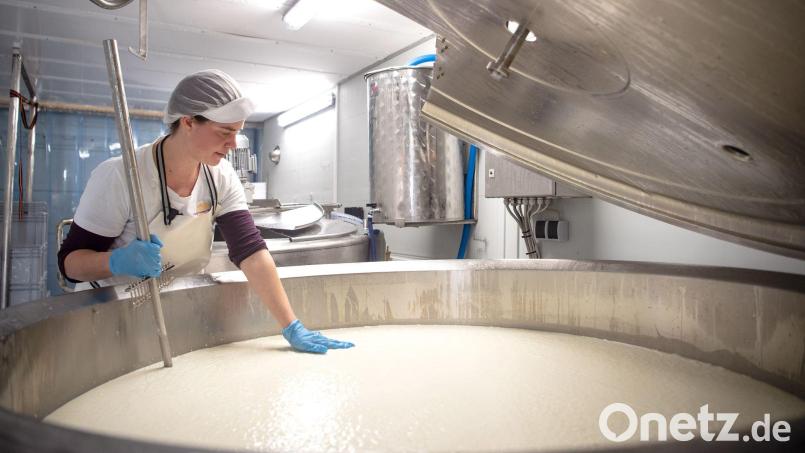Bei der mobilen Käserei wird ein Lkw so umgebaut, dass darin Milch verarbeitet werden kann. Das Bild zeigt eine mobile Käserei, die in Norddeutschland unterwegs ist, um Käse direkt beim Landwirt auf dem Hof herzustellen. Bild: Sina Schuldt/dpa