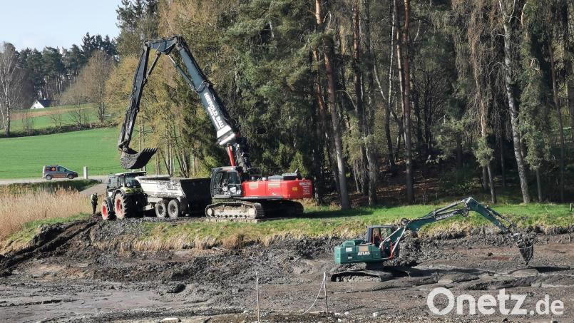 Mit großem Gerät wird der Schlamm aus dem Atzmannsee beseitigt und in ein Zwischenlager abtransportiert.. Bild: gz