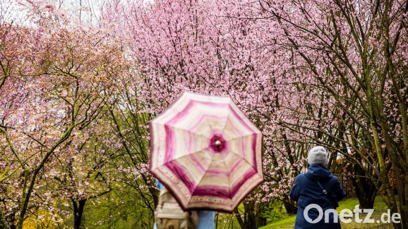 Der Frühling lässt noch auf sich warten. Symbolbild: Christoph Soeder