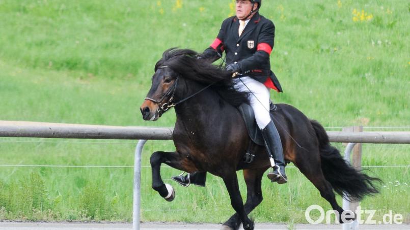 Bei den Wurzer Sporttagen dreht sich vom 28. April bis 1. Mai alles um die Islandpferde. Im Rennpass geht es um die bayerische Meisterschaft und die WM-Qualifikation. Bild: Claudia Achilles