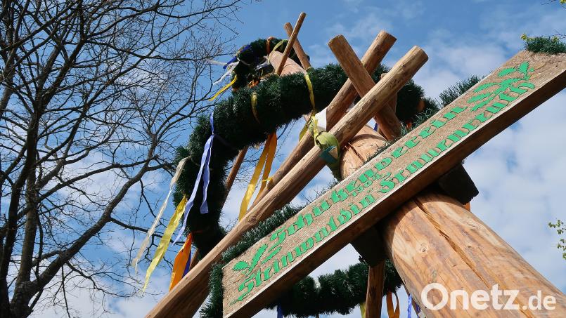 Dutzende mit Girlanden geschmückte Maibäume werden am Wochenende im Landkreis Tirschenreuth in die Höhe gehievt. Wer etwas auf sich hält, erledigt dies mit Muskelkraft mit Hilfe von Schwalben. Archivbild: bsc