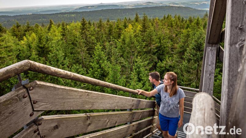 Der Oberpfalzturm ist eines der beliebtesten Ausflugsziele im Steinwald. Vom höchsten Punkt des Landkreises aus eröffnet sich ein weiter Blick. Archivbild: Zweckverband Steinwald-Allianz/Georg Neumann