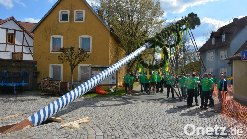 Fast 50 Burschen brauchten gut dreieinhalb Stunden, um den 33 Meter langen Maibaum – eine Fichte – mit acht Schwalben in die Höhe zu hieven. Bei strahlendem Sonnenschein verfolgten zahlreiche Zuschauer das Spektakel. Bild: jr