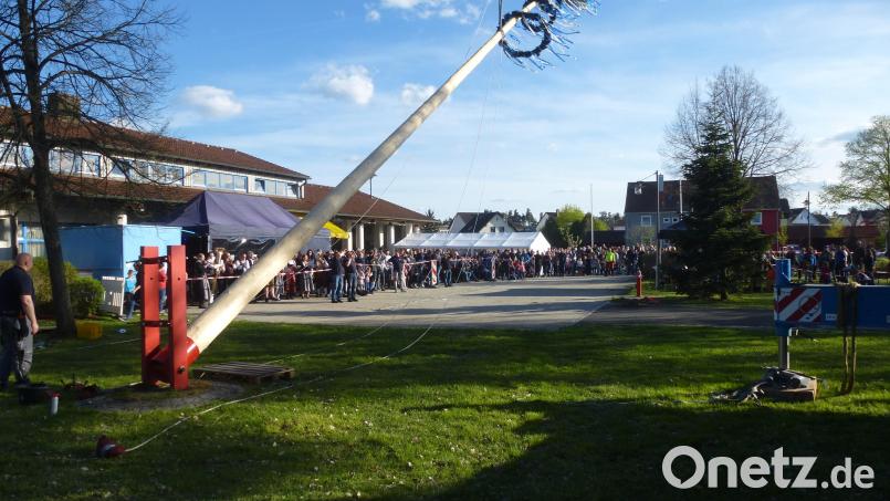Eine riesige Zuschauermenge verfolgte das Maibaum-Spektakel in Weiherhammer aus sicherer Entfernung Bild: bk
