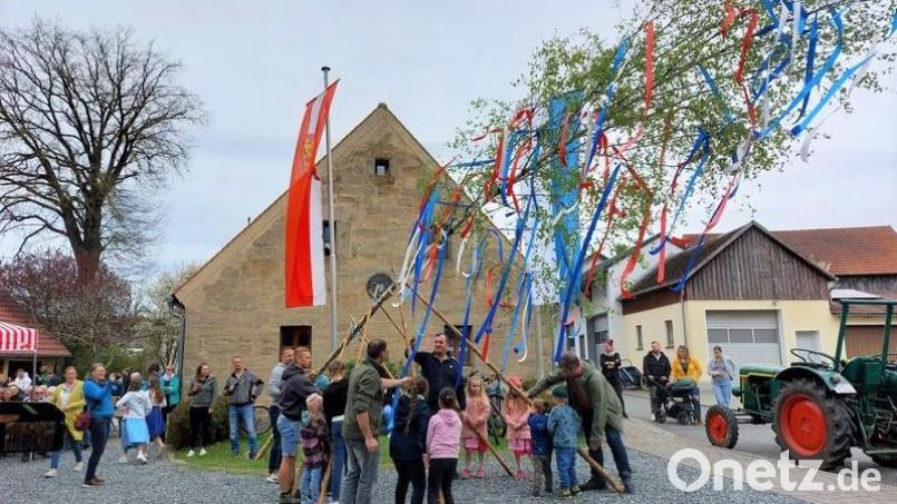 Für alle Akteure eine Riesengaudi: Das Aufstellen eines Kinder-Maibaumes vor dem Hirthaus in Münchsreuth Bild: do