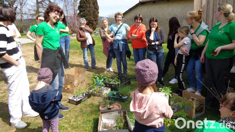 Jeder Besucher stellte seine mitgebrachten Pflanzen vor. Bild: amö