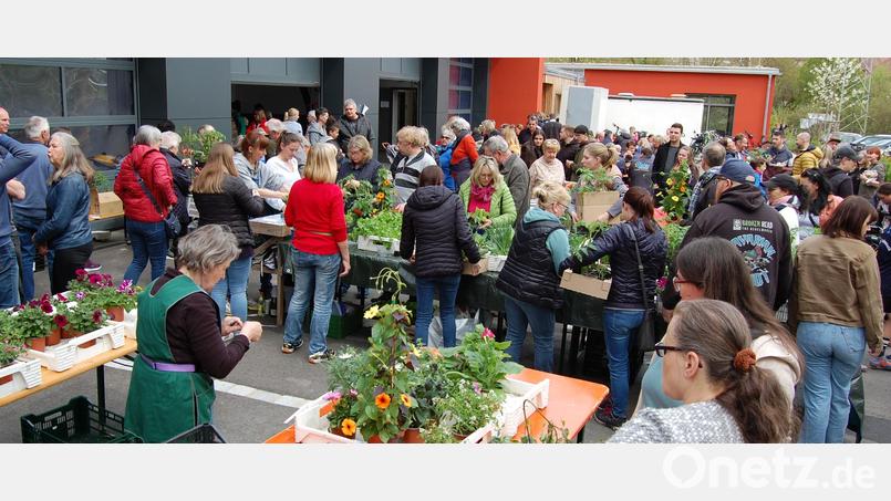Zahlreiche Gartenfreunde bei der 22. Pflanzenbörse der Siedlergemeinschaft Irchenrieth. Bild: grm