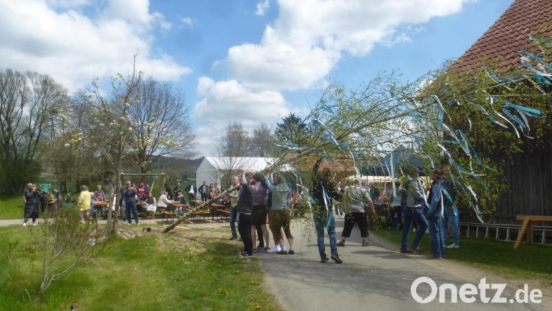 Maibaum-Revival in Schönau: Gäste aus der gesamten Marktgemeinde fanden sich dazu ein. Bild: mad