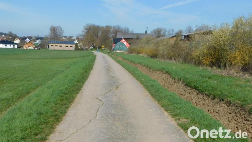 Auf der Wunschliste der Jagdpächter, Jagdgenossen und Landwirte steht seit Jahren die Sanierung der 1965 angelegten Gemeindeverbindungsstraße von Haidenaab nach Haunritz. Bild: whü