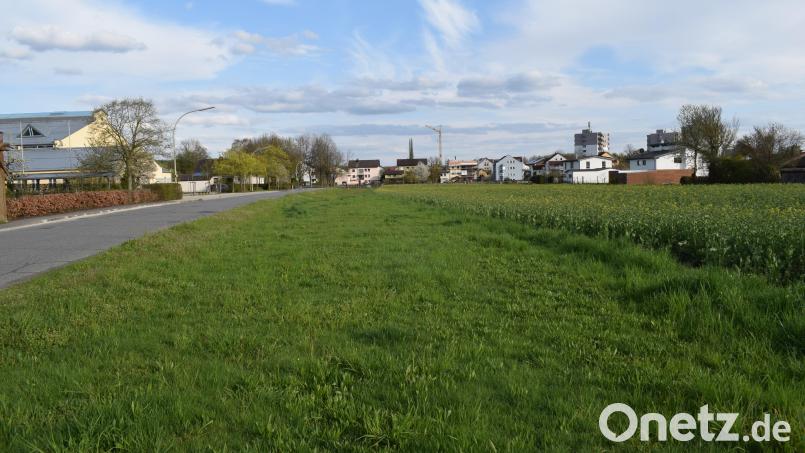 Der Bebauungsplan "Landgraf-Johann-Straße" wurde überarbeitet und kommt erneut zur Auslegung. Bild: bnr