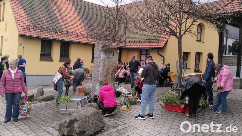 Zahlreiche Gartenfreunde nutzten das Angebot der Pflanzen-Tauschbörse. Und wer wollte, konnte dabei auch Kaffee und Kuchen genießen. Bild: Gassner/exb