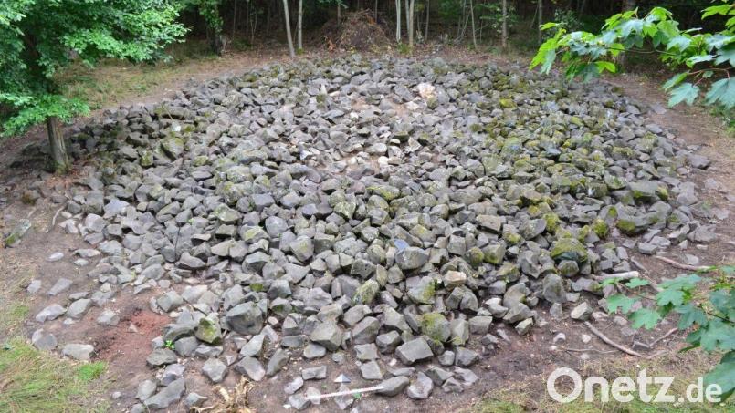 Einer der Grabhügel vom Rauhen Kulm mit Resten der zentralen Grabkammer Bild: Losert/exb