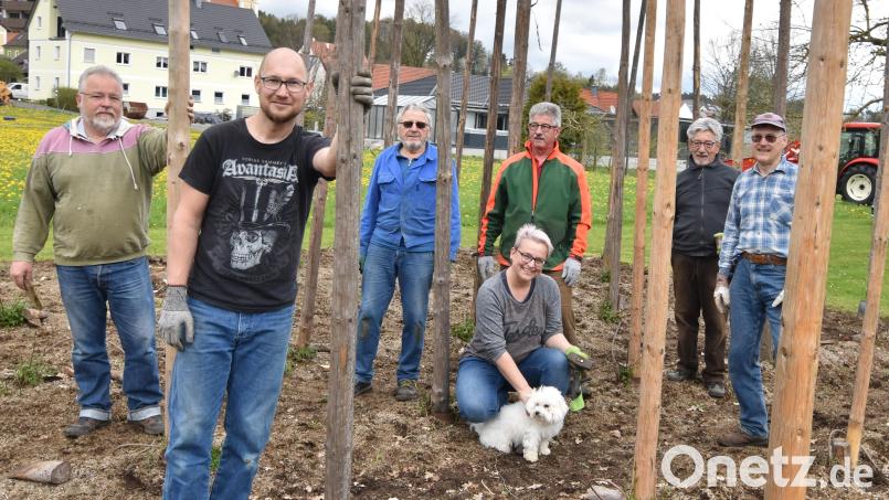 Die ersten Arbeiten im Jahresablauf des Gartenbauvereins Illschwang sind das Aufstellen der Hopfenstangen und das Jäten von Unkraut. Mit dabei der neue Vorsitzende Wolfgang Stowasser (links) und sein Vorgänger Lorenz Geitner (Zweiter von rechts). Bild: no