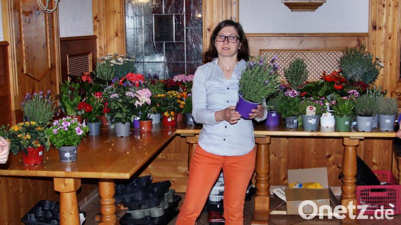 Beliebter Brauch bei der Jahreshauptversammlung des Gartenbauvereins Schmidtstadt: Vorsitzende Verena Frauenknecht verlost fast 100 Topfpflanzen unter den Mitgliedern. Bild: ds