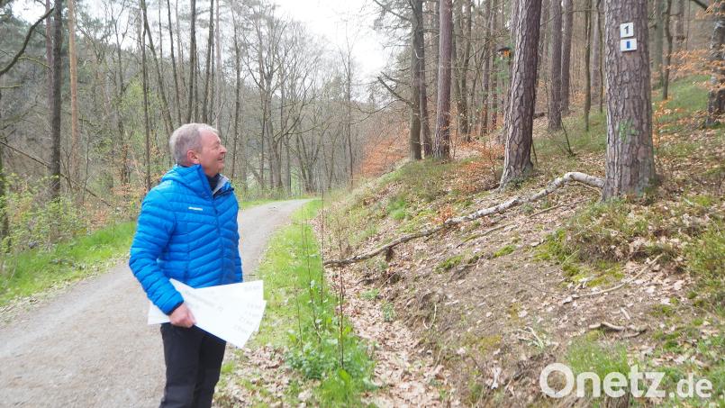 Vom OWV-Zweigverein Pfreimd über den Hauptverein in Weiden ist Robert Reil nun auf Landesebene für Wanderwege zuständig und hat einen wachsamen Blick auf korrekte Markierung. Schließlich hängt davon auch eine finanzielle Förderung ab. Bild: bl