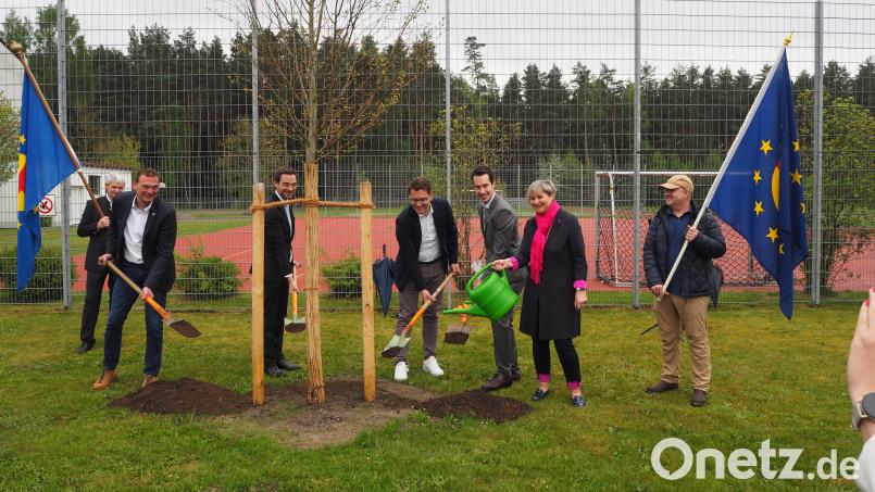 Die neueste Europalinde steht nur bei der Mittelschule Altenstadt/WN. Bild: krb