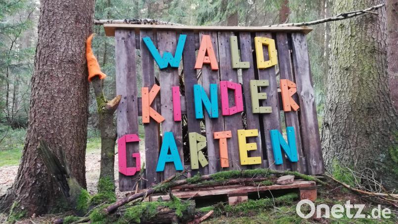 Für die Einrichtung einer Waldkindergarten-Gruppe am Rothenbürger Weiher, angegliedert an den BRK-Kindergarten, sind heuer Planungskosten in Höhe von 50.000 Euro im Haushalt einkalkuliert. Die Gruppe soll bis Herbst 2024 an den Start gehen. Archivbild: ld