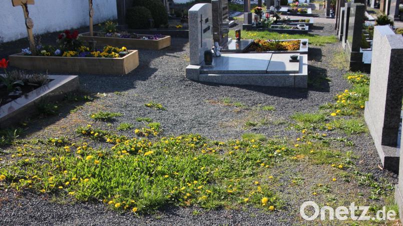 Auf Plätzen, wo im Fuchsmühler Friedhof Gräber aufgelöst wurden, könnten in Zukunft Urnengräber entstehen. Bild: kro