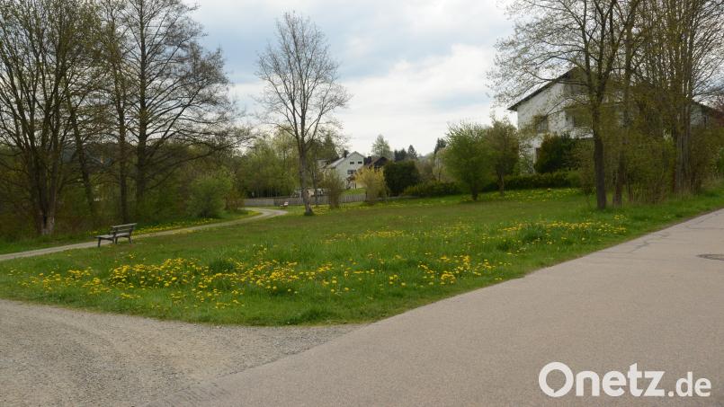 Die momentane Grünfläche zwischen Leuchtenberger Straße und dem Fußweg entlang des Herrenpointweihers im Anschluss an den Garten des bestehenden Wohnhauses soll für die Bebauung bereitgestellt werden. Das zweite Grundstück befindet sich zwischen dem Kinderspielplatz und der ebenfalls vorhandenen Bebauung. Bild: bey
