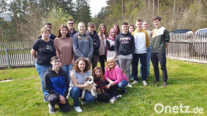 Schüler der FOS/BOS überreichen einen Geldbetrag von 275 Euro an Tierheimleiterin Jutta Böhm (vorne, rechts). Bild: Winkler